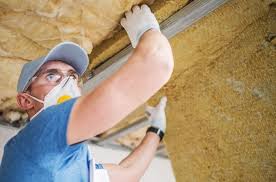 Best Crawl Space Insulation  in Williamstown, KY