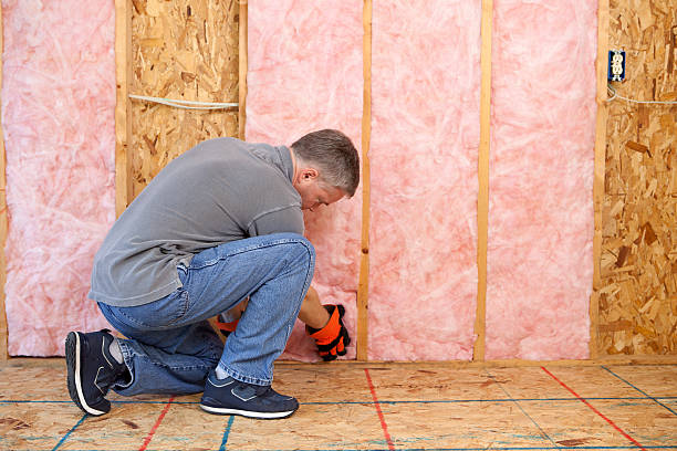 Best Eco-Friendly or Green Insulation Solutions  in Williamstown, KY